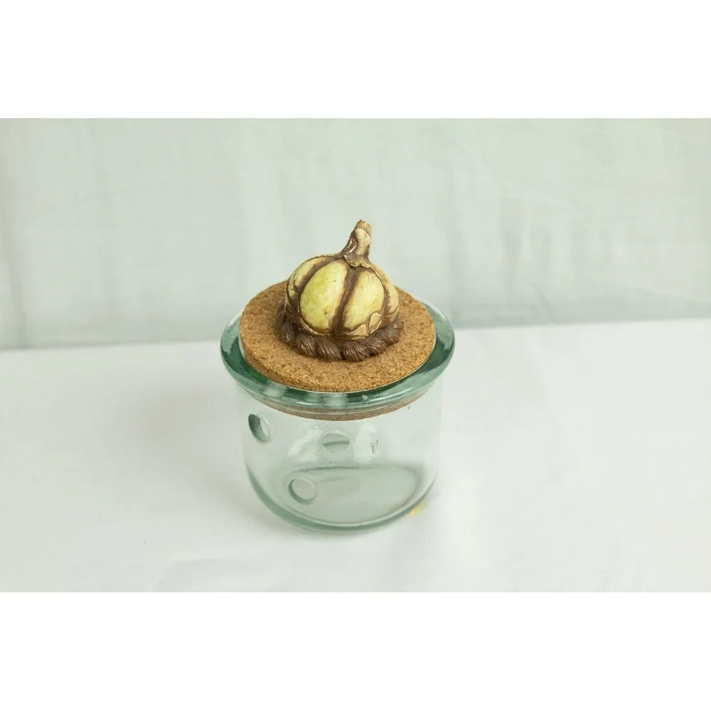 Vintage Glass Garlic Cellar Keeper with Decorative Cork Lid and Garlic Finial